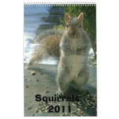Squirrel Calendar 2011 Kalender (Hoes)