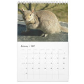 Squirrel Calendar 2012 Kalender (Feb 2027)