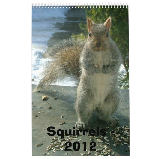 Squirrel Calendar 2012 Kalender (Hoes)