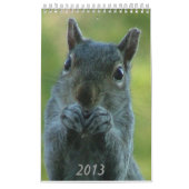 Squirrel Calendar 2013 Kalender (Hoes)