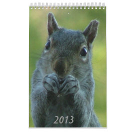 Squirrel Calendar 2013 Kalender