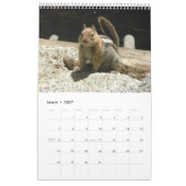 Squirrel Calendar 2013 Kalender (Mar 2027)