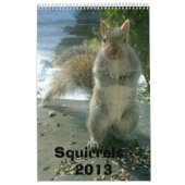 Squirrel Calendar 2013 Kalender (Hoes)