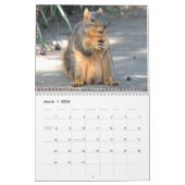 Squirrel Calendar 2022 Kalender (Mar 2026)