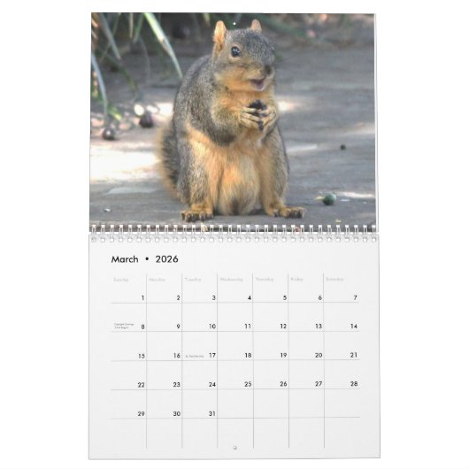 Squirrel Calendar 2022 Kalender (Mar 2026)