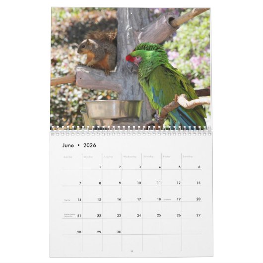 Squirrel Calendar 2022 Kalender (Jun 2026)