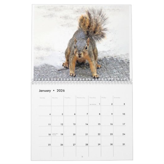 Squirrel Calendar 2022 Kalender (Jan 2026)