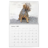Squirrel Calendar 2022 Kalender (Jan 2027)