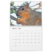 Squirrel Calendar 2022 Kalender (Feb 2027)