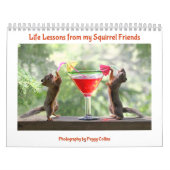 Squirrel Calendar - All New Life Lessons Kalender (Hoes)