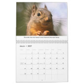 Squirrel Calendar - All New Life Lessons Kalender (Mar 2027)