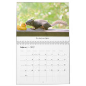 Squirrel Calendar - All New Life Lessons Kalender (Feb 2027)