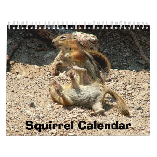 Squirrel Calendar Kalender (Hoes)