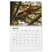 Squirrel Calendar Kalender (Mar 2027)