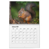 Squirrel Calendar Kalender (Feb 2027)