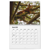 Squirrel Calendar Kalender (Mar 2026)
