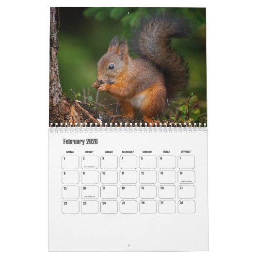 Squirrel Calendar Kalender (Feb 2026)