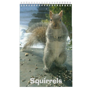 Squirrel Calendar Kalender