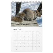 Squirrel Calendar Kalender (Jan 2027)