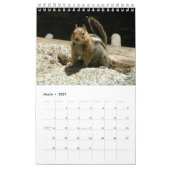 Squirrel Calendar Kalender (Mar 2027)