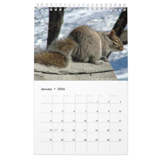 Squirrel Calendar Kalender (Jan 2026)