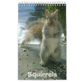 Squirrel Calendar Kalender (Hoes)