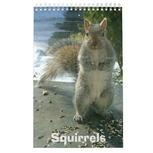 Squirrel Calendar Kalender (Hoes)