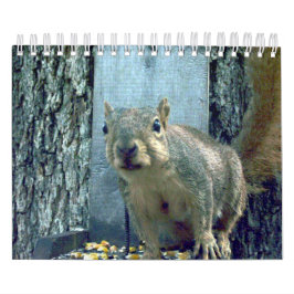 Squirrel Calendar Kalender