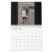 Squirrel Calendar Kalender (Feb 2027)