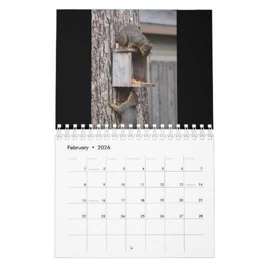Squirrel Calendar Kalender (Feb 2026)