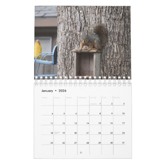 Squirrel Calendar Kalender (Jan 2026)