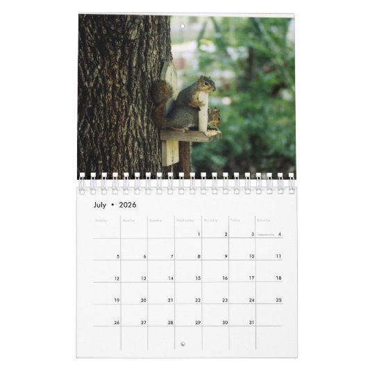 Squirrel Calendar Kalender (Jul 2026)