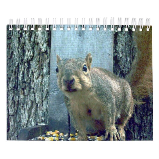 Squirrel Calendar Kalender (Hoes)
