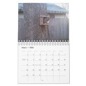 Squirrel Calendar Kalender (Mar 2026)