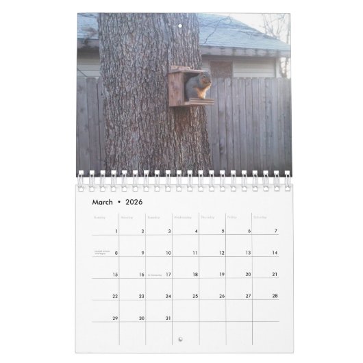Squirrel Calendar Kalender (Mar 2026)