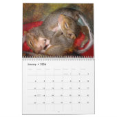 Squirrel Calendar Kalender (Jan 2026)