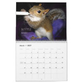Squirrel Calendar Kalender (Mar 2027)