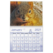Squirrel Calendar Kalender (Jan 2027)
