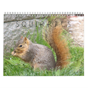 Squirrel Calendar Kalender
