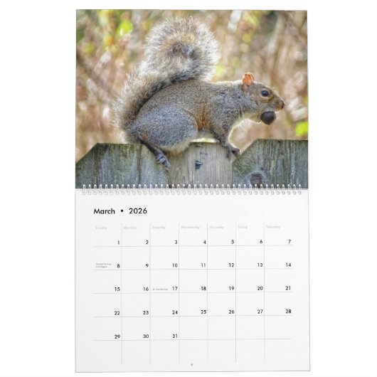 Squirrel Calendar Kalender (Mar 2026)