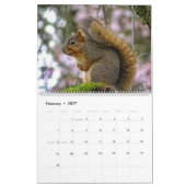 Squirrel Calendar Kalender (Feb 2027)