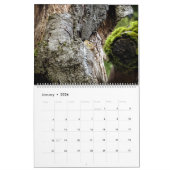 Squirrel Calendar Kalender (Jan 2026)