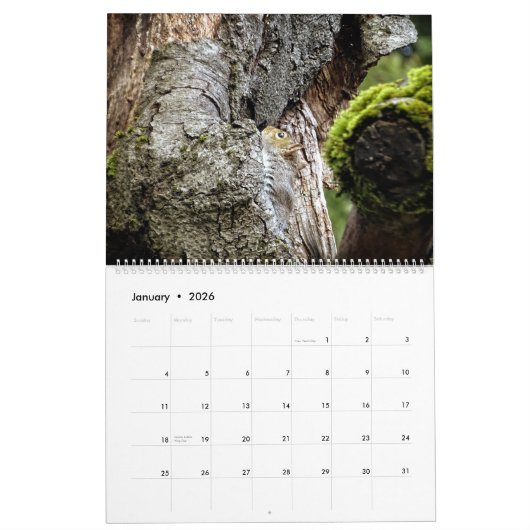 Squirrel Calendar Kalender (Jan 2026)