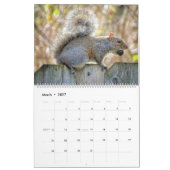 Squirrel Calendar Kalender (Mar 2027)