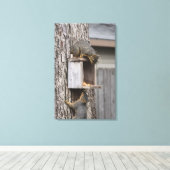 Squirrel Canvas Afdrukken (Insitu (Houten vloer))