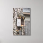Squirrel Canvas Afdrukken (Voorkant)