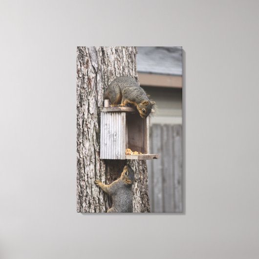 Squirrel Canvas Afdrukken (Voorkant)