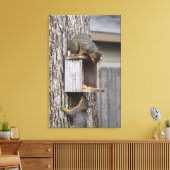 Squirrel Canvas Afdrukken (Insitu (Woonkamer))