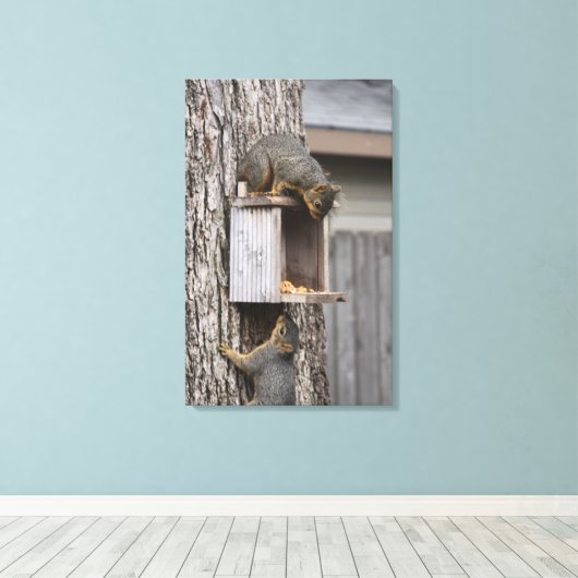Squirrel Canvas Afdrukken (Insitu (Houten vloer))
