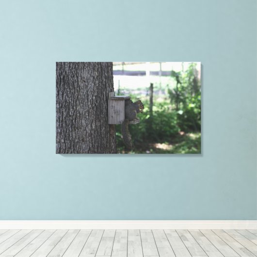 Squirrel Canvas Afdrukken (Insitu (Houten vloer))